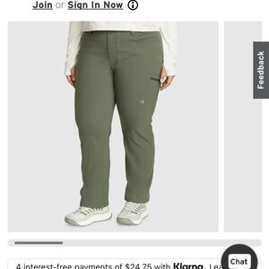 Eddie Bauer Womens Ranier Fleece Lined Jogger Pants Green Size 2x